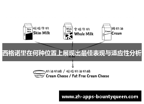 西格诺里在何种位置上展现出最佳表现与适应性分析