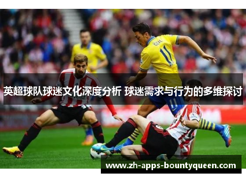 英超球队球迷文化深度分析 球迷需求与行为的多维探讨