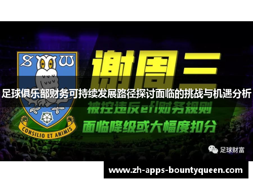 足球俱乐部财务可持续发展路径探讨面临的挑战与机遇分析 足球俱乐部财务可持续发展路径探讨面临的挑战与机遇分析