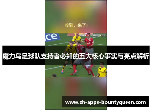 魔力鸟足球队支持者必知的五大核心事实与亮点解析