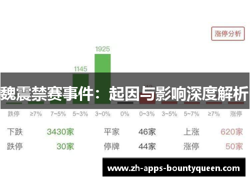 魏震禁赛事件：起因与影响深度解析