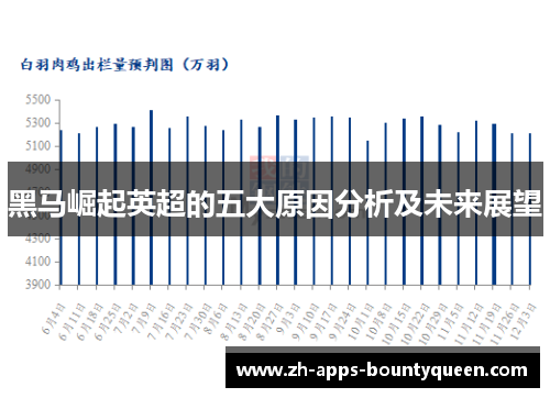 黑马崛起英超的五大原因分析及未来展望 黑马崛起英超的五大原因分析及未来展望